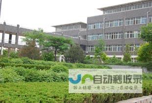 邯郸专业网站设计：定制化解决方案，提升用户体验，助力邯郸企业成功
