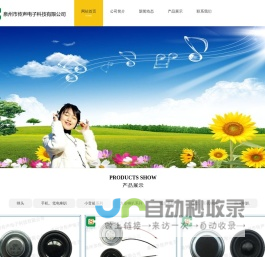 扬声器，传声电子，泉州市传声电子科技有限公司，喇叭